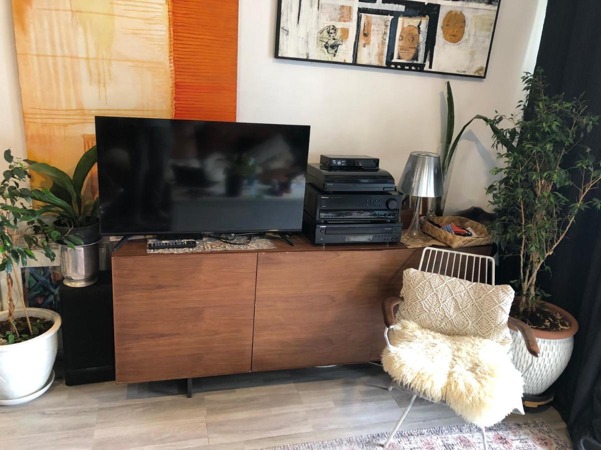 Cool Apartment, Central To Everything, Share With 2X Bulldogs Auckland Zewnętrze zdjęcie